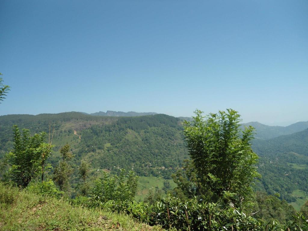 Mount River View Kandy Extérieur photo