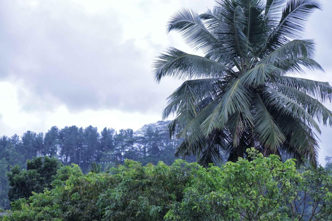 Mount River View Kandy Extérieur photo