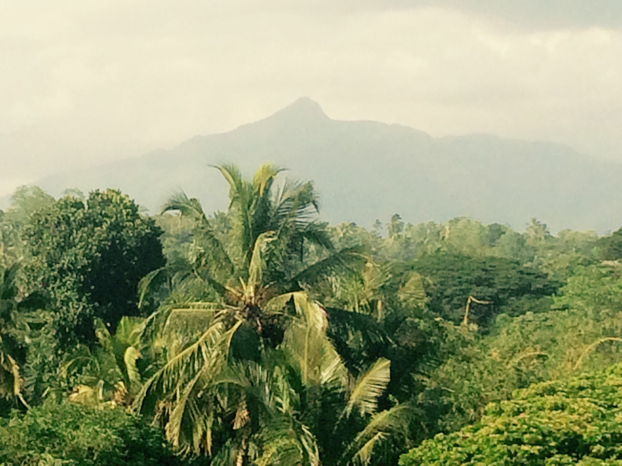 Mount River View Kandy Extérieur photo